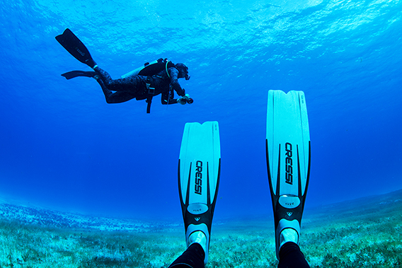 PADI OPEN WATER COURSE + 2 NOCHES - Albatros Suites Cozumel